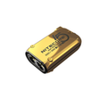 LIMITED EDITION: TINI 2 SS GOLDEN GLOW